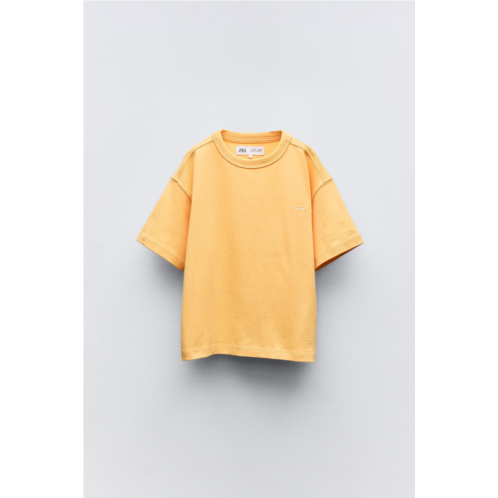 Zara EMBROIDERED HEAVYWEIGHT T-SHIRT