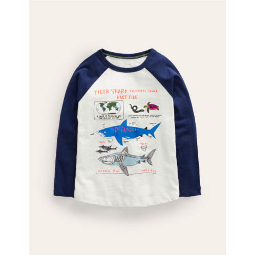 Boden Raglan Fact File T-shirt - Ivory/Navy Sharks