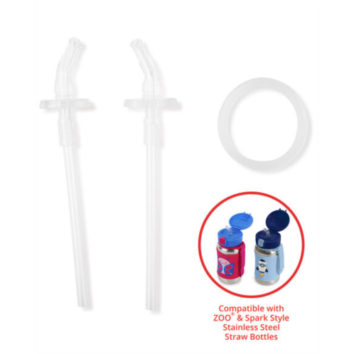 Carters Clear Stainless Steel Straw Bottle Extra Straws - 2-Pack