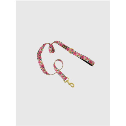 Gap Printed Fabric Dog Leash