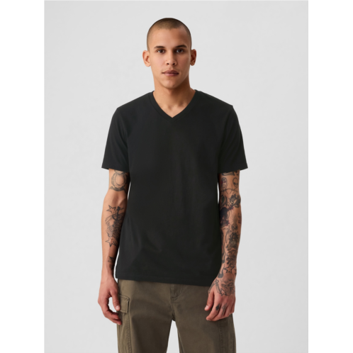 Gap Cotton Jersey V-Neck T-Shirt