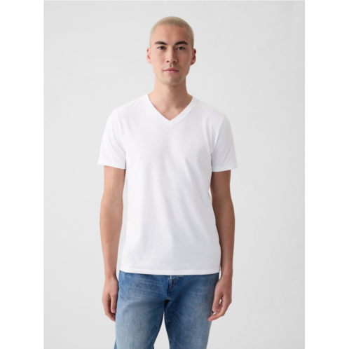 Gap Jersey V-Neck T-Shirt