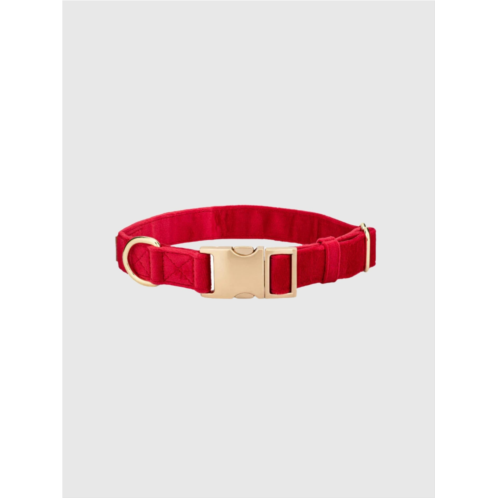 Gap Velvet Dog Collar