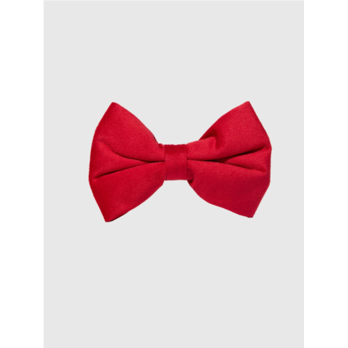 Gap Velvet Dog Bow Tie