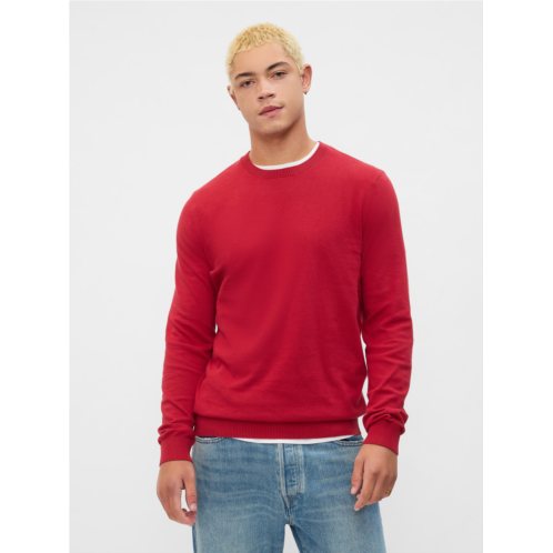 Gap Crewneck Sweater