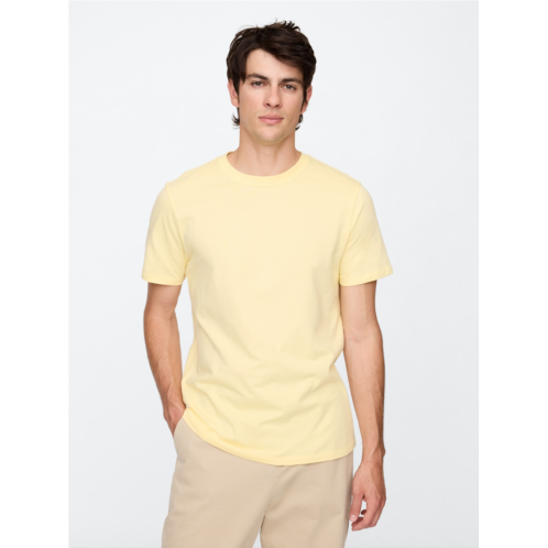 Gap Everyday Soft Crewneck T-Shirt