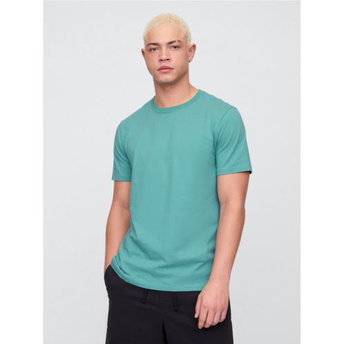 Gap Everyday Soft Crewneck T-Shirt