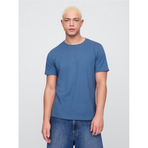 Gap Everyday Soft Crewneck T-Shirt