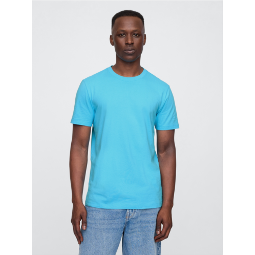 Gap Everyday Soft Crewneck T-Shirt