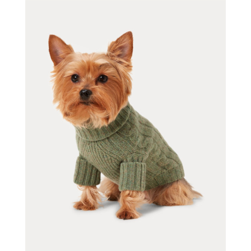 Polo Ralph Lauren Cable Cashmere Dog Sweater