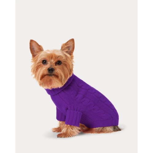 Polo Ralph Lauren Cable Cashmere Dog Sweater
