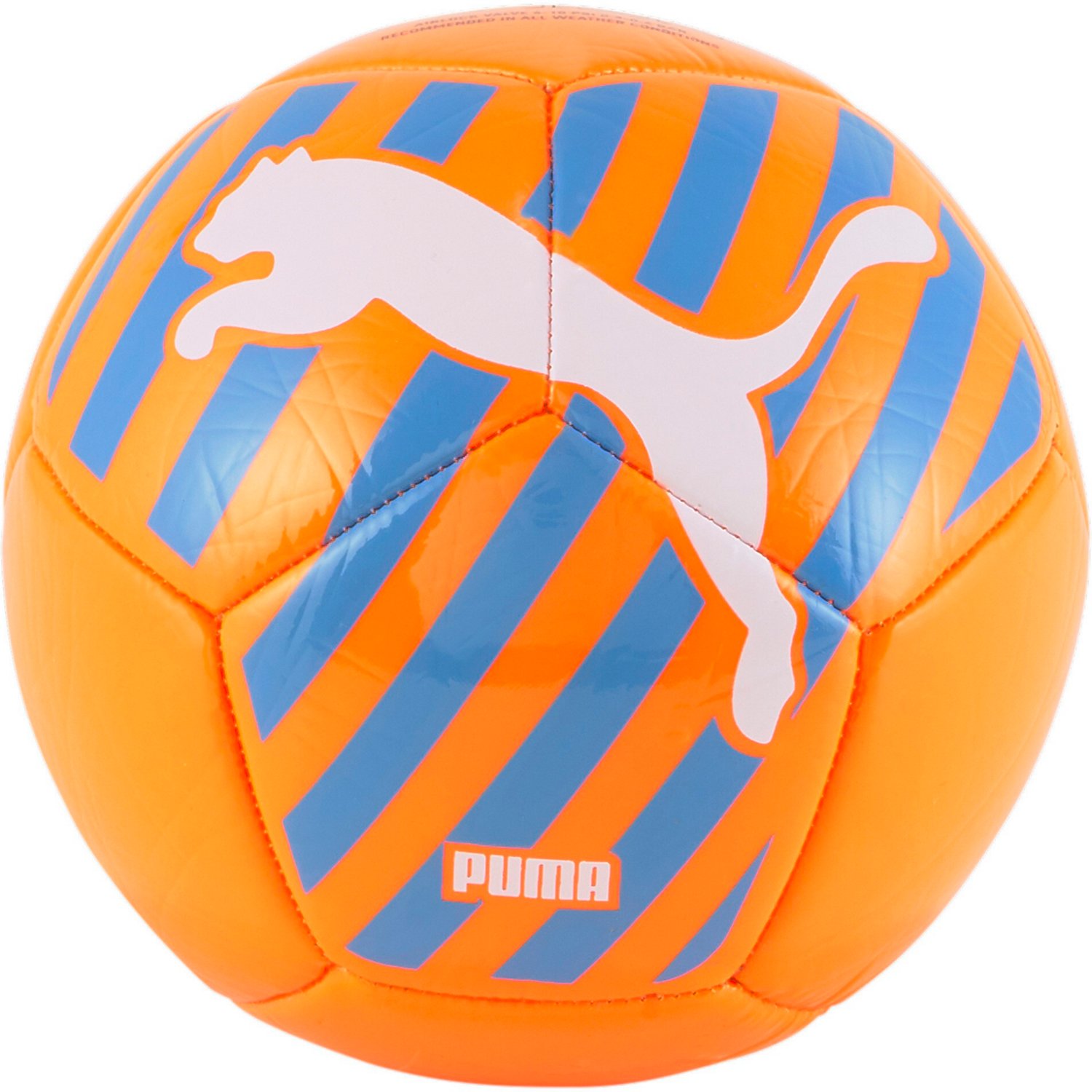 PUMA Big Cat Mini Soccer Ball