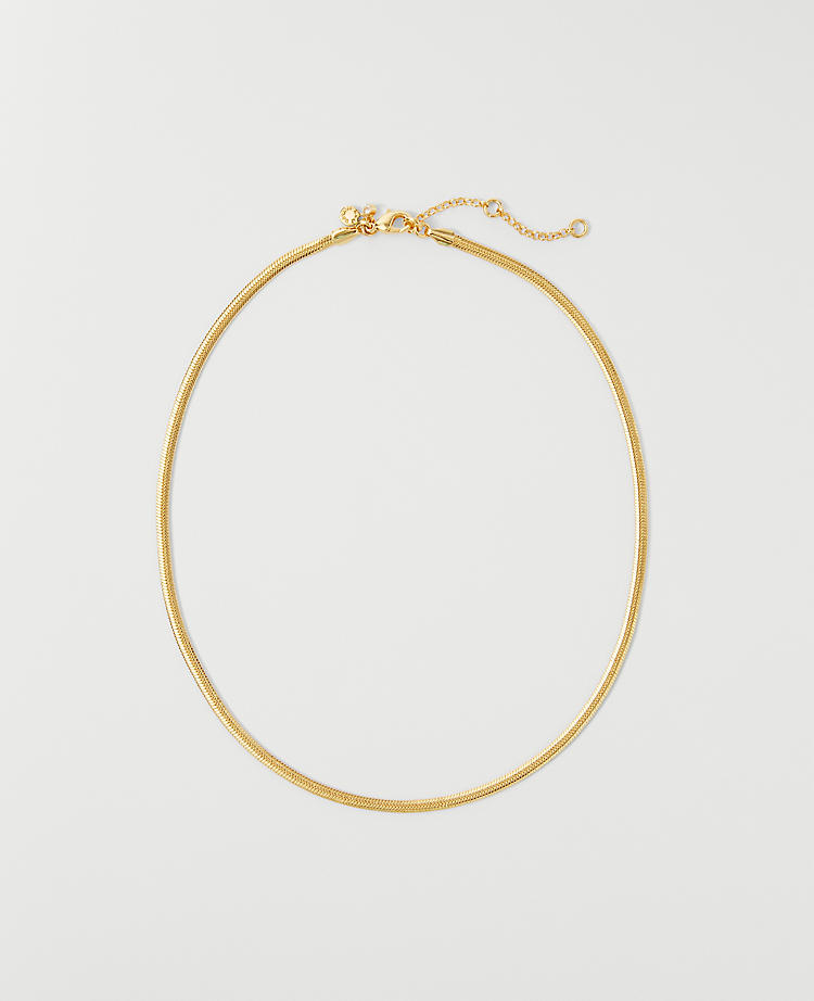 Anntaylor Snake Chain Necklace