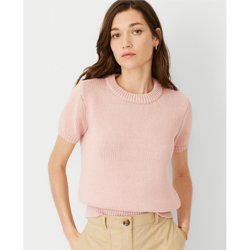 Anntaylor AT Weekend Chunky Wedge Sweater Tee