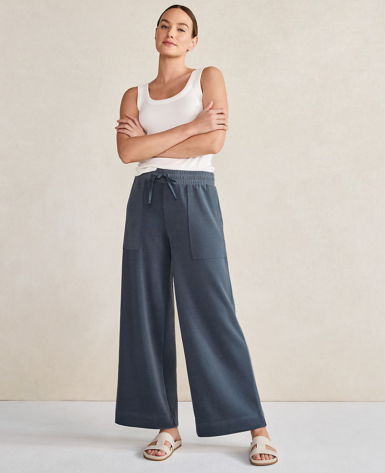 Anntaylor Haven Well Within Balance Double-Knit Wide Leg Pants