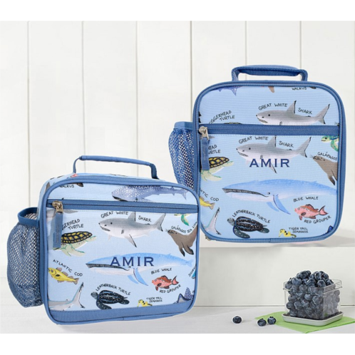Potterybarn Mackenzie Save Our Seas Lunch Boxes
