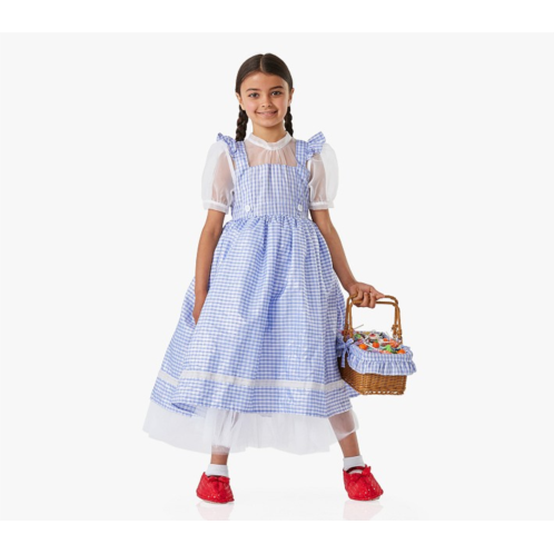 Potterybarn The Wizard of Oz Dorothy Costume