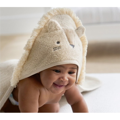 Potterybarn Lion Baby Hooded Towel & Wash Cloth