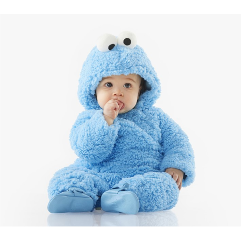 Potterybarn Baby Sesame Street Cookie Monster Costume
