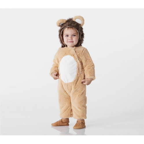 Potterybarn Baby Lion Costume