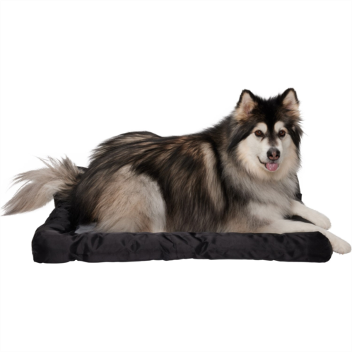 Avalanche Roll-Up Travel Dog Bed with Handle - 26x37”