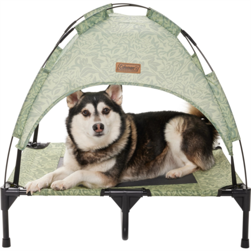 Coleman Large Folding Pet Cot with Canopy - 30x24x7”