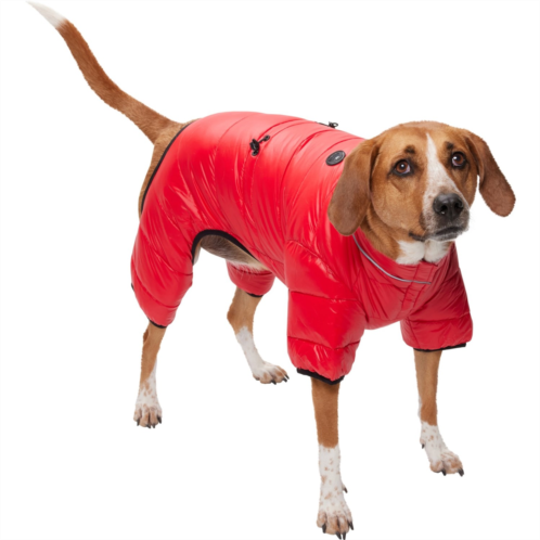 Pajar Vinnie Quilted Dog Snowsuit - Insulated