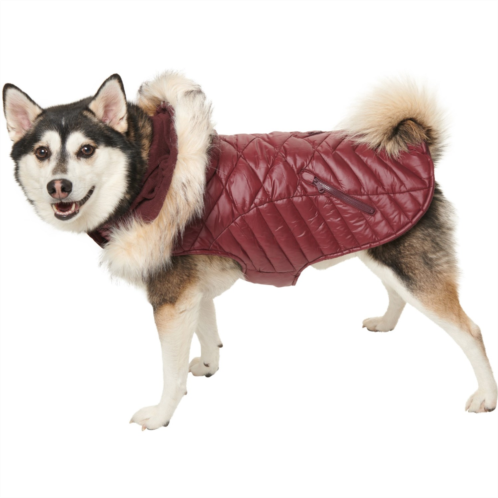 Pajar Zola Quilted Hooded Dog Jacket - Insulated