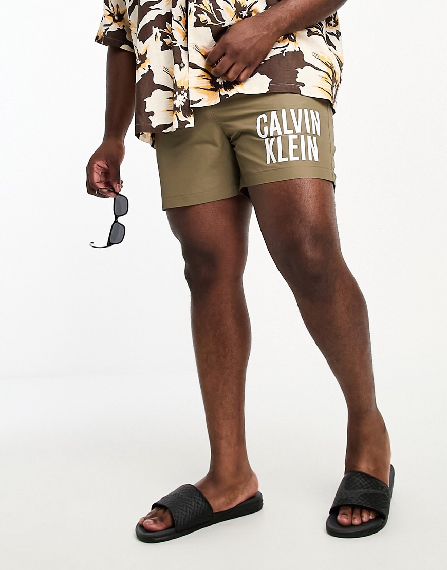 Calvin Klein Big & Tall intense power swim shorts in nettle