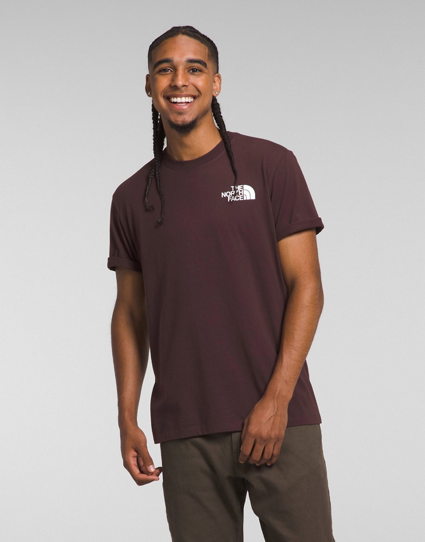 The North Face NSE back print T-shirt in brown