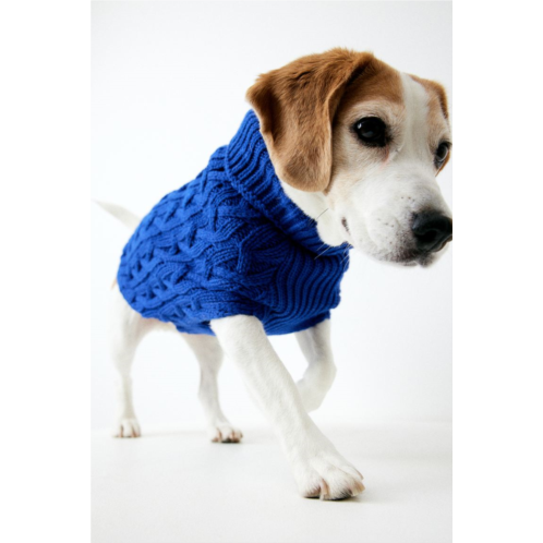 H&M Cable-knit Dog Sweater