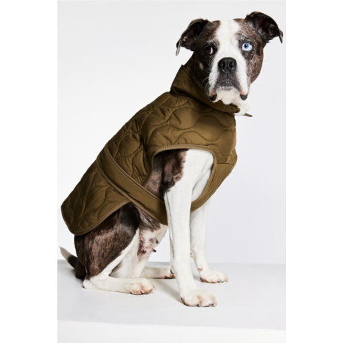 H&M Quilted Dog Jacket