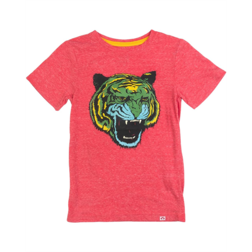 Appaman Kids Tiger Roar Graphic Short Sleeve Tee (Toddler/Little Kid/Big Kid)