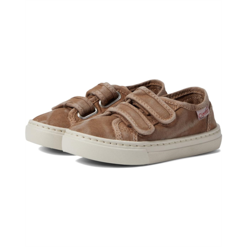 Cienta Kids Shoes 83777 (Toddler/Little Kid/Big Kid)