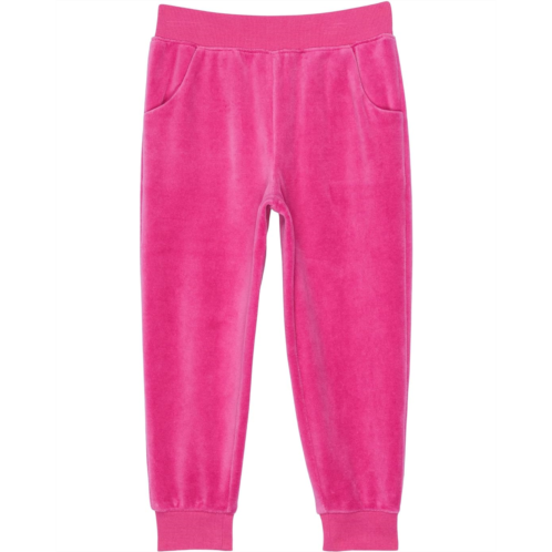 Janie and Jack Velour Joggers (Toddler/Little Kids/Big Kids)