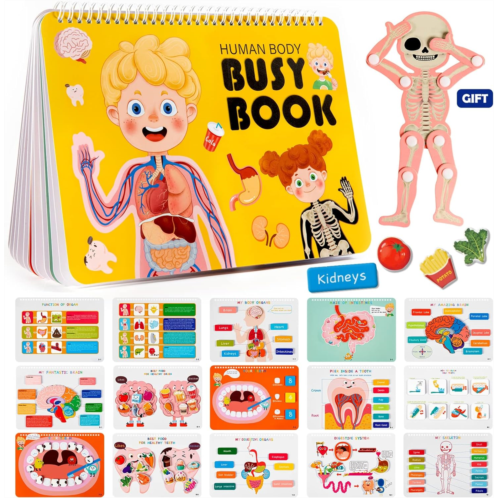 Freebear Montessori Busy Book for Kids, Human Body Anatomy Book for Toddlers, Preshool Kindergarten Learning Activities, Autism Sensory Toys, Travel Toys, Gifts for Girls and Boys