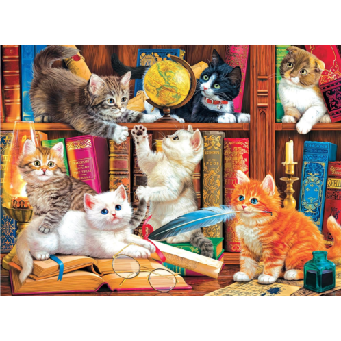 Cra-Z-Art - RoseArt - Fancy Cats 750PC - Library Mischief