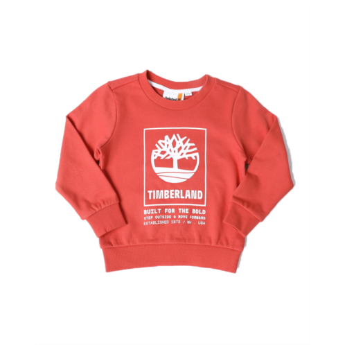Timberland graphic pullover sweatshirt (4-16)