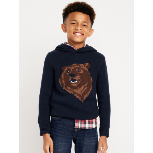 Oldnavy Printed Sweater-Knit Pullover Hoodie for Boys