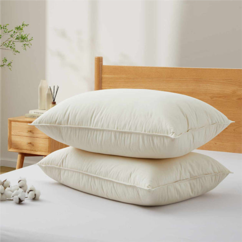 PEACE NEST 2 pack 100% organic cotton shell, 75% goose down feather bed pillows, pillow-in-a-pillow