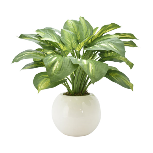 Creative Displays green hosta plant