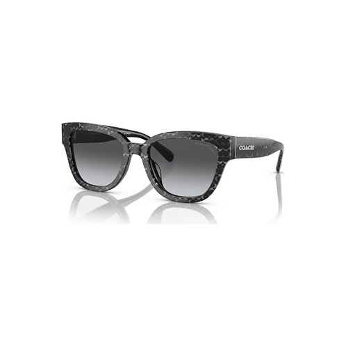 COACH Womens CL920 Polarized Sunglasses Gradient Polar HC8379U
