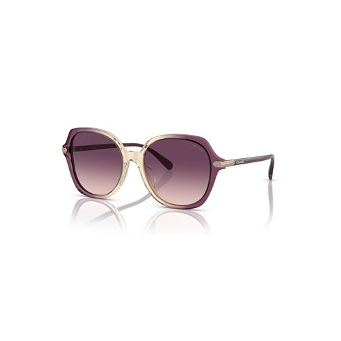 COACH Womens CL925 Sunglasses Gradient HC8377U