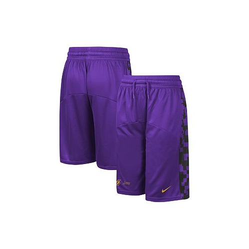 Nike Big Boys Purple Los Angeles Lakers Courtside Starting Five Team Shorts