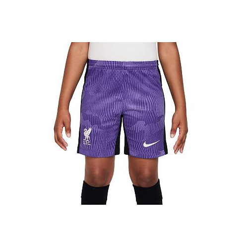 Nike Big Boys Purple Liverpool 2023/24 Third Stadium Performance Shorts