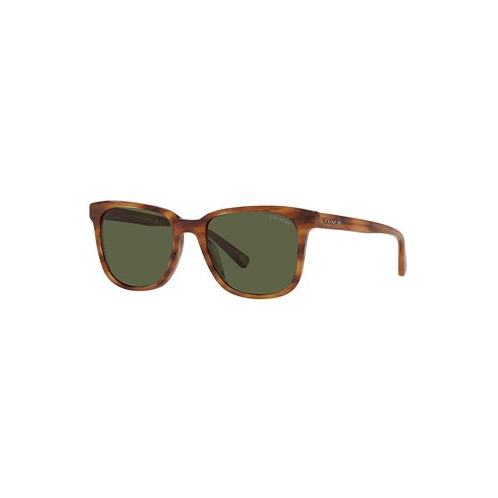 COACH Sunglasses HC8313U 54 C2095