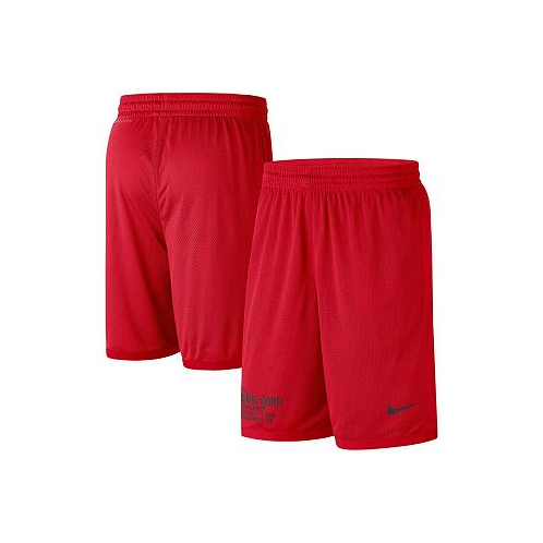 Nike Mens Scarlet Ohio State Buckeyes Performance Mesh Shorts