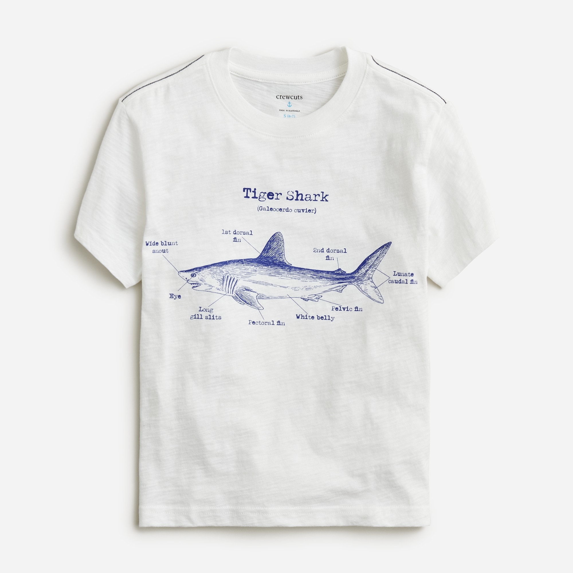 Jcrew Kids tiger shark graphic T-shirt