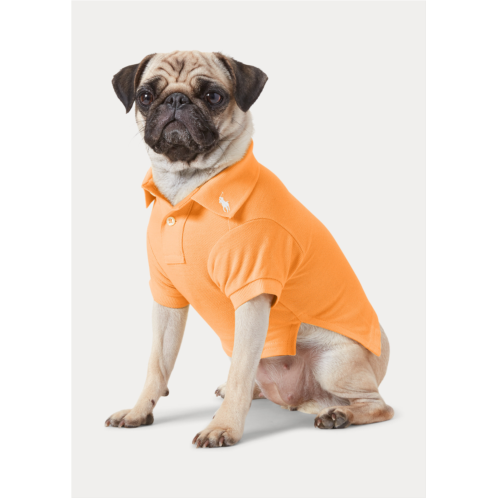 Polo Ralph Lauren Cotton Mesh Dog Polo Shirt