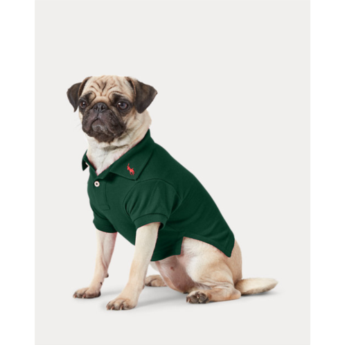 Polo Ralph Lauren Cotton Mesh Dog Polo Shirt
